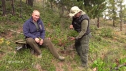 Путин и Шойгу гуляют по тайге Путин и Шойгу гуляют по тайге