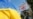 "Формула Штайнмайера": шаг к миру или к капитуляции Украины?