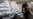 3 Antipolio Workers Shot Dead In Pakistan
