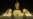 Turkmenistan Marks Niyazov's Birthday