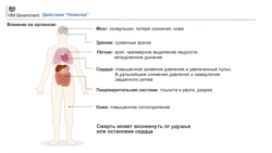 Презентация Презентация