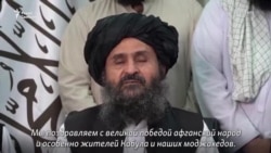 Талибы заявляют, что "война закончена" Талибы заявляют, что "война закончена"