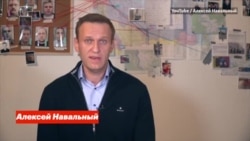 Уголовное дело против Любови Соболь Уголовное дело против Любови Соболь