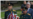 Болгария вышлет российского военного атташе по подозрению в шпионаже
