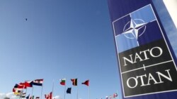 Россия-НАТО – новая «Ялта»? | Крымский вопрос Россия-НАТО – новая «Ялта»? | Крымский вопрос