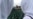 ICJ Bosnia Ruling Sets Important Precedents