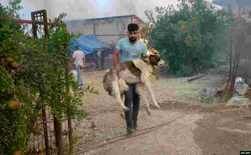 У МЗС України заявляли, що не мають даних про загиблих чи постраждалих українців