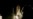 NASA Launches Space Shuttle 'Discovery'