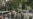 Taliban Attack Kills Seven