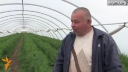 Кырымда авыл хуҗалыгы үлеп бара Кырымда авыл хуҗалыгы үлеп бара