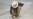 16x9 Image