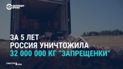 Ответные санкции для Запада: как россиянам о них рассказывали в 2014 году (видео) Ответные санкции для Запада: как россиянам о них рассказывали в 2014 году (видео)