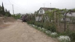 Потрійні тарифи на воду: врожай кримських жителів під загрозою (відео) Потрійні тарифи на воду: врожай кримських жителів під загрозою (відео)