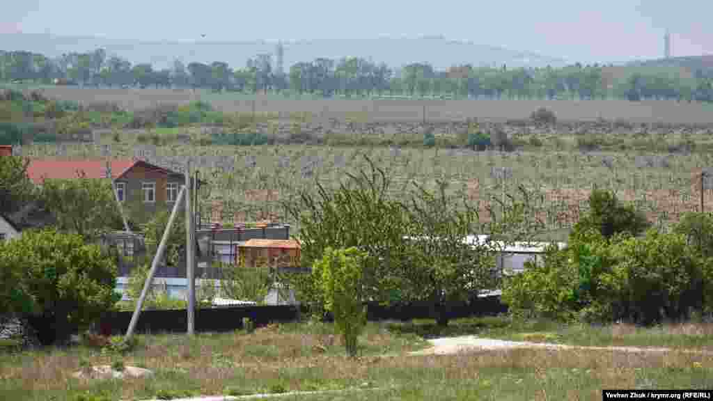 Вокруг села раскинулись виноградники агропредприятия «Золотая Балка»