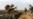 Civilian Casualties Harm U.S. Troops, Study Says