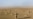 U.S. Troops Launch Major Operation In Southern Afghanistan