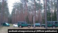 Задержание прибывших через Беларусь мигрантов польскими пограничниками