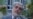 Abdullah Welcomes Poll Results Delay