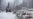 Лесополоса черная: города Поволжья уничтожают свои "зеленые легкие"