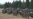 "Летающие танки Вучича". Зачем Россия дарит Сербии военную технику