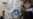 United Kyrgyzstan Members Picket Court In Bishkek