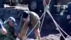 Ученые и экологи опасаются за жизнь выпущенных из "китовой тюрьмы" косаток и белух Ученые и экологи опасаются за жизнь выпущенных из "китовой тюрьмы" косаток и белух
