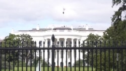 О чём был телефонный разговор Трампа с Путиным О чём был телефонный разговор Трампа с Путиным