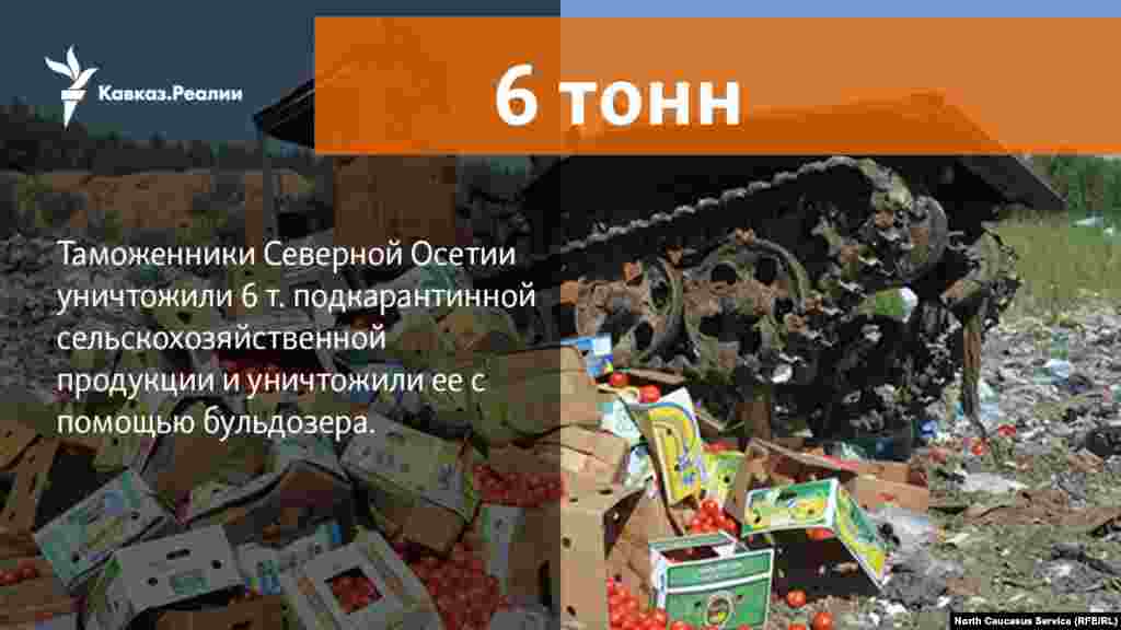 10.04.2018 // Свыше 6 тонн карантинных овощей уничтожили бульдозером во Владикавказе таможенниками Северной Осетии. 