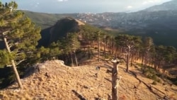 В заповедном лесу крымского Уч-Коша (видео) В заповедном лесу крымского Уч-Коша (видео)