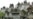 Ossetia Crisis Could Be Russia's Chance To Defeat Siloviki