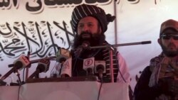 د طالبانو د کډوالو چارو وزیر خلیل حقاني په چاودنه کې وژل شوی
 د طالبانو د کډوالو چارو وزیر خلیل حقاني په چاودنه کې وژل شوی