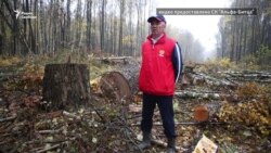 Бутовский лес в беде Бутовский лес в беде