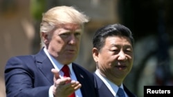 Дональд Трамп и Си Цзиньпин (Флорида, апрель 2017 г.)