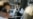 World: Following Terrorists' Mobile Trails