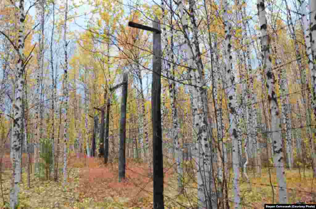 Many of the prison camps' barbed-wire fences still remain intact to this day. 