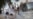 Islamabad Warns That Second Wave Of Floods Expected