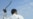 14 Political Prisoners Reportedly Flogged in Iran