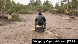 Рубка леса