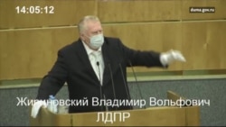 Жириновский подверг критике Пескова Жириновский подверг критике Пескова