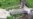 Catholic Cemetery Vandalized In Belarus