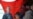 U.S. General Says Afghan Insurgency Growing