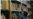 Из уличной библиотеки Владикавказа пакетами уносят книги, но организаторы не собираются с этим бороться