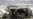 Vilnius Conference To Discuss Ukraine Military