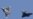 NATO To Take Lead In Libya