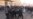 Владивосток: явившийся с повинной участник протестов задержан