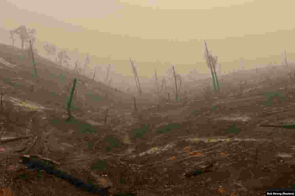 Иго, Калифорния. Лысые холмы после пожара Carr Fire. Из-за стихийного бедствия шесть человек погибли, еще семерых объявили пропавшими без вести в одном из самых разрушительных лесных пожаров в истории США. Более 800 домов и 300 других зданий превратились в пепел. (Reuters/Bob Strong)  