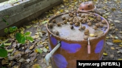 Село под Крымскими горами: Зеленогорское в условиях «водного кризиса» (фотогалерея)