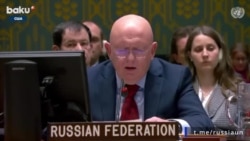 Небензя про ситуацию в Сирии Небензя про ситуацию в Сирии
