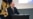 Путин заказал посадки "экстремистов"?