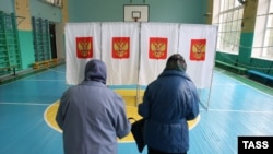 Выборы в Госдуму